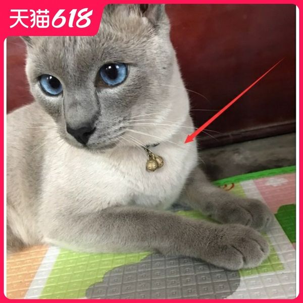 collar cat jewelry chihuahua cat brand small pet bronze bell tag neck kitty puppy dog tag
collar cat jewelry chihuahua cat brand small pet bronze bell tag neck kitty puppy dog tag