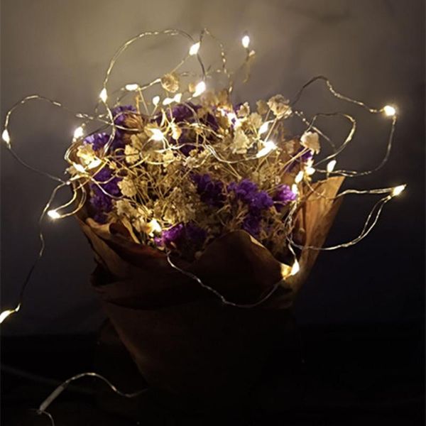 5pcs 20 led string garland copper wire led cabinet light lights christmas home decor battery operated christmas wedding lamp
5pcs 20 led string garland copper wire led cabinet light lights christmas home decor battery operated christmas wedding lamp
