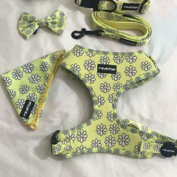 dog apparel selling custom design harness suit bow tie collar bandana and leash poop bag dispenser set pet cat clothing
dog apparel selling custom design harness suit bow tie collar bandana and leash poop bag dispenser set pet cat clothing