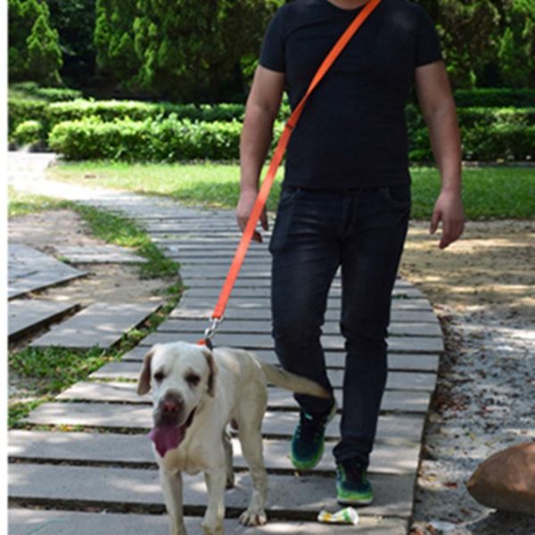 dog collars & leashes leash hands for dogs walking adjustable walker pet supplies accessories running belt
dog collars & leashes leash hands for dogs walking adjustable walker pet supplies accessories running belt