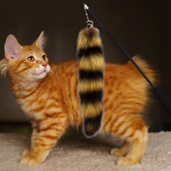 cat toys extentable pole faux fur tail stick pet plush kittens scratch interactive playing teaser with ring bell
cat toys extentable pole faux fur tail stick pet plush kittens scratch interactive playing teaser with ring bell