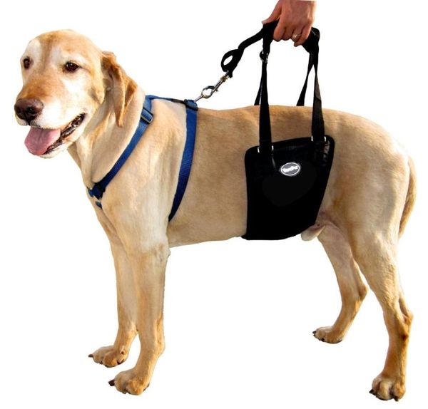 dog collars & leashes assist sling rehabilitation support lift harness reflective leash handle for small large arthritic weak joints
dog collars & leashes assist sling rehabilitation support lift harness reflective leash handle for small large arthritic weak joints