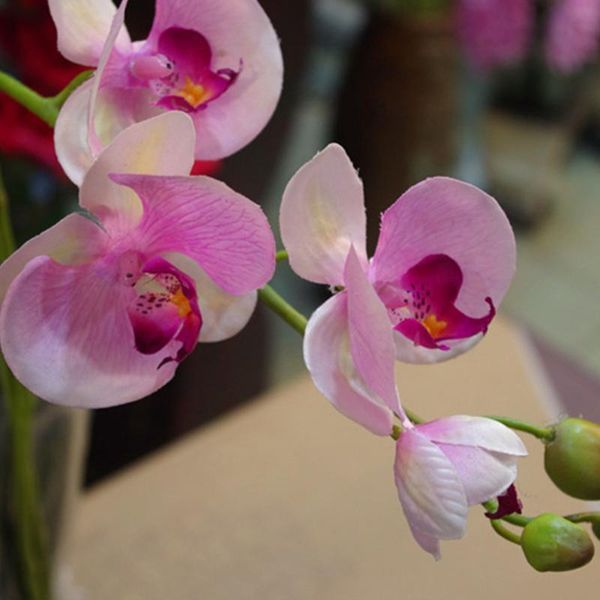 party supplies craft phalaenopsis simulation orchid wedding beautiful lightweight home gift easy care artificial plant 9 flowers
party supplies craft phalaenopsis simulation orchid wedding beautiful lightweight home gift easy care artificial plant 9 flowers