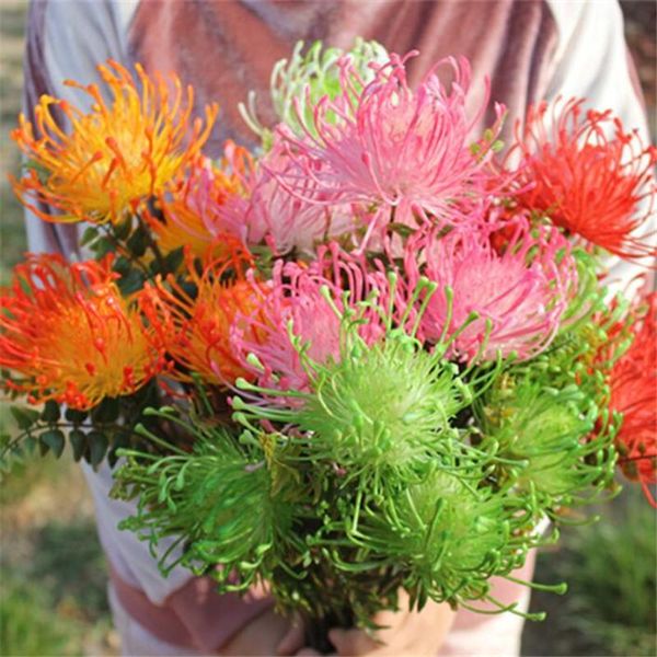 decorative flowers & wreaths 5pcs plastic dandelion flower 5 heads/piece fake leucospermum cordifolium artificial bunch hydrangea
decorative flowers & wreaths 5pcs plastic dandelion flower 5 heads/piece fake leucospermum cordifolium artificial bunch hydrangea