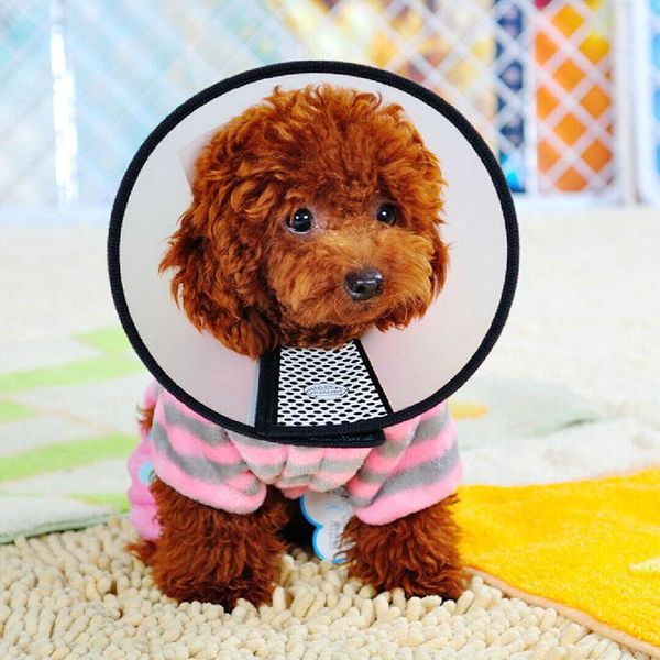 dog collars & leashes pet cat collar elizabeth protective recovery velvet cloth preventing licking wound health care
dog collars & leashes pet cat collar elizabeth protective recovery velvet cloth preventing licking wound health care