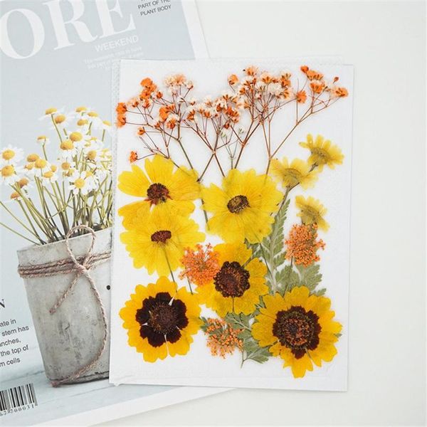 decorative flowers & wreaths 1 bag dried for diy handmade jewelry bookmarks po frame makeup decoration necklace making craft accessori
decorative flowers & wreaths 1 bag dried for diy handmade jewelry bookmarks po frame makeup decoration necklace making craft accessori