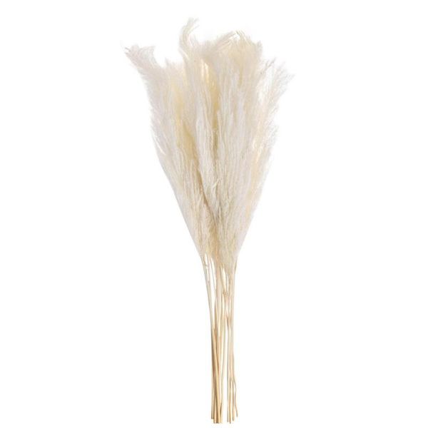 decorative flowers & wreaths pcs dried whisk reed diy wedding 100 natural highquality stalk grass flower coffee shop home decoration
decorative flowers & wreaths pcs dried whisk reed diy wedding 100 natural highquality stalk grass flower coffee shop home decoration
