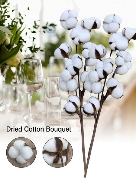 decorative flowers & wreaths 2pcs natural dried cotton bouquet artificial flower branch plant kapok diy wreath gift wedding home decor
decorative flowers & wreaths 2pcs natural dried cotton bouquet artificial flower branch plant kapok diy wreath gift wedding home decor