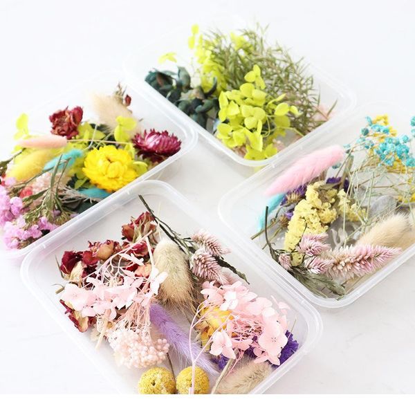 1-2 boxes,mixed eternal dried flower materials,rose hydrangea for diy wedding invitation gift card scented candle de qylajw
1-2 boxes,mixed eternal dried flower materials,rose hydrangea for diy wedding invitation gift card scented candle de qylajw