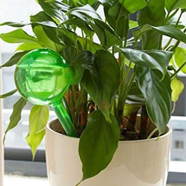 watering equipments 6pcs automatic device plant flowers self bulb garden indoor kits
watering equipments 6pcs automatic device plant flowers self bulb garden indoor kits