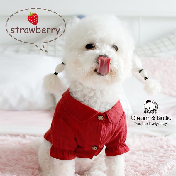 dog apparel pet clothes cream & biubiu cloth cat spring and summer thin cute bubble sleeve shirt
dog apparel pet clothes cream & biubiu cloth cat spring and summer thin cute bubble sleeve shirt