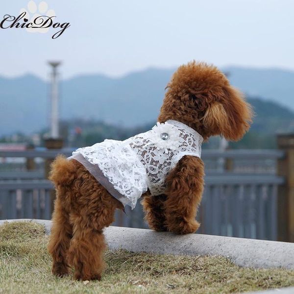 flowers printing dog clothes dress sweet dogs clothing for pet costume elegant spring summer fashion chihuahua ropa para perro
flowers printing dog clothes dress sweet dogs clothing for pet costume elegant spring summer fashion chihuahua ropa para perro