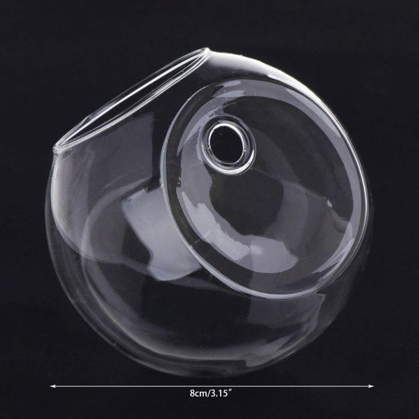 transparent glass vase wall hanging hydroponic terrarium fish tanks potted plant flower pot dia 8/10cm
transparent glass vase wall hanging hydroponic terrarium fish tanks potted plant flower pot dia 8/10cm