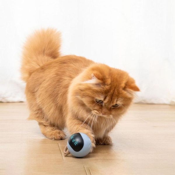 cat toys pet led smart interactive funny toy kitten electronic self rotating ball usb fitness accessories rechargeable
cat toys pet led smart interactive funny toy kitten electronic self rotating ball usb fitness accessories rechargeable