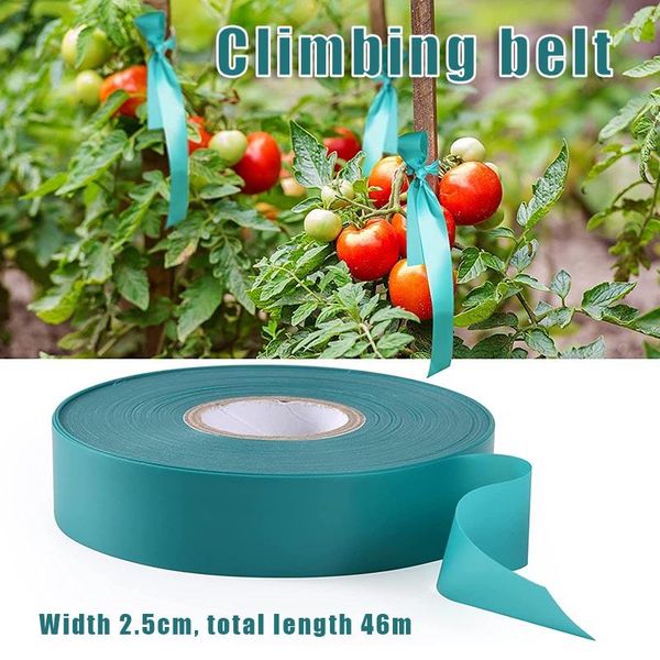 other garden supplies reusable plant stretch tie tape multi-purpose durable flower fixing band for courtyard greenhouse l9
other garden supplies reusable plant stretch tie tape multi-purpose durable flower fixing band for courtyard greenhouse l9