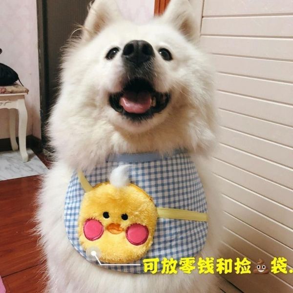 dog collars & leashes pet cartoon backpack cat universal saliva towel large golden samoye cotton waterproof bib
dog collars & leashes pet cartoon backpack cat universal saliva towel large golden samoye cotton waterproof bib