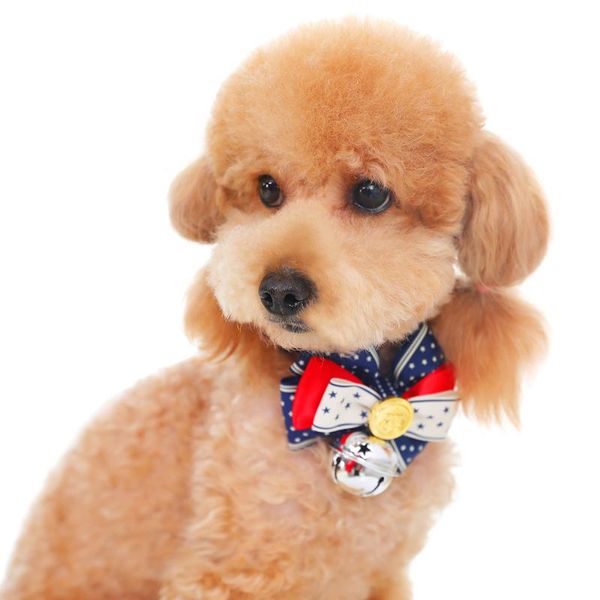 cute cat dog collar bow tie collar flower neck pet bell chiens accessoires pour animaux de compagnie pet supplies dd6d83
cute cat dog collar bow tie collar flower neck pet bell chiens accessoires pour animaux de compagnie pet supplies dd6d83