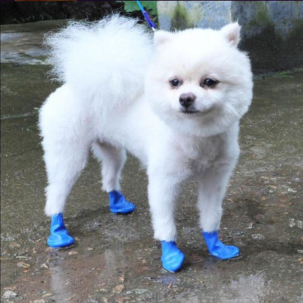 dog apparel pets boots socks waterproof rubber rain shoes non slip outdoor puppies cachorro candy color
dog apparel pets boots socks waterproof rubber rain shoes non slip outdoor puppies cachorro candy color