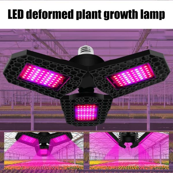 plant growth lights lamp bulb led deformable folding plant grow light red blue sunlight growbox indoor lamps
plant growth lights lamp bulb led deformable folding plant grow light red blue sunlight growbox indoor lamps