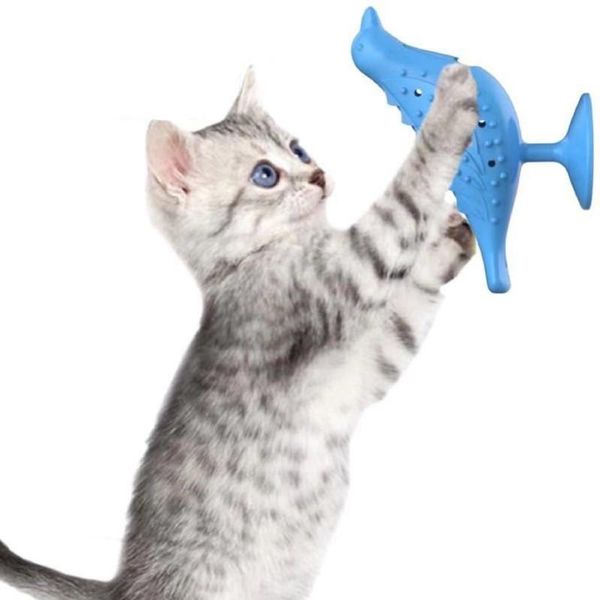 small animal supplies cat suction cup silicone bite molar teeth leaking toys catnip indoor funny kitty
small animal supplies cat suction cup silicone bite molar teeth leaking toys catnip indoor funny kitty