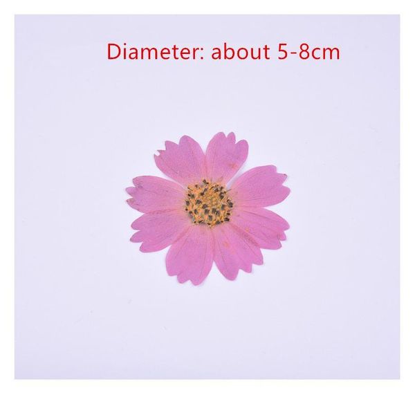 100pcs,natural pressed galsang flower,real touch dried flower for diy wedding invitation bookmark gift card,scented cand qyljto
100pcs,natural pressed galsang flower,real touch dried flower for diy wedding invitation bookmark gift card,scented cand qyljto