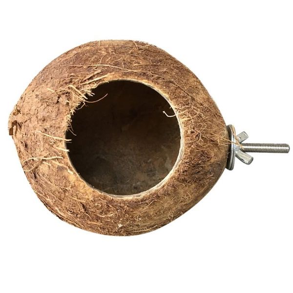 bird cages pet coconut shell nest parrot natural perch small animals comfortable bed hanging toy sleeping 
bird cages pet coconut shell nest parrot natural perch small animals comfortable bed hanging toy sleeping