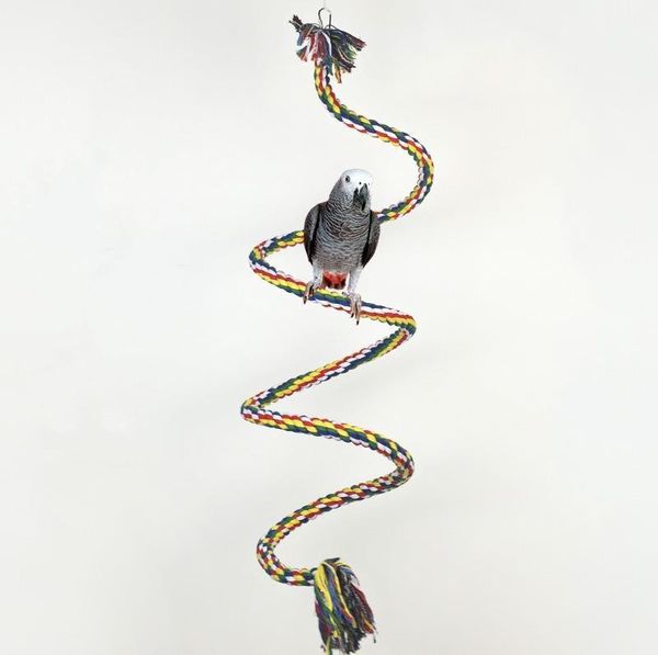 other bird supplies eco-friendly cotton climbing toy bell rope parrot standing pet cage accessories parakeets cockatiels t049
other bird supplies eco-friendly cotton climbing toy bell rope parrot standing pet cage accessories parakeets cockatiels t049