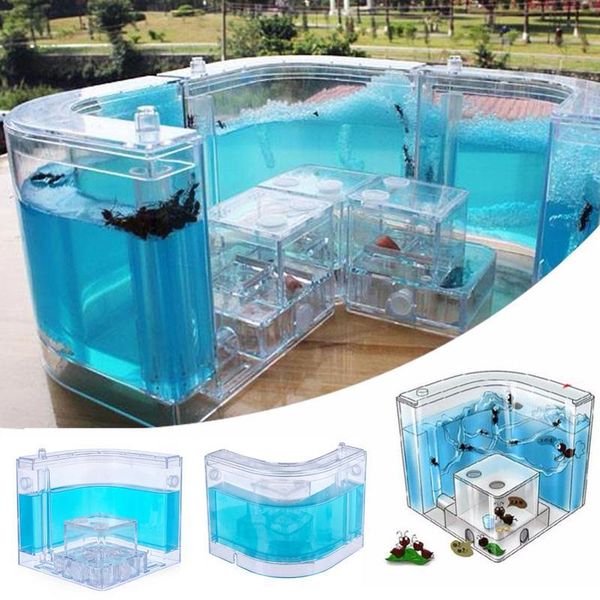 small animal supplies 10.8cm ant farm ants house nest art specially habitat colorful villa decoration funny transparent kids gift insect
small animal supplies 10.8cm ant farm ants house nest art specially habitat colorful villa decoration funny transparent kids gift insect