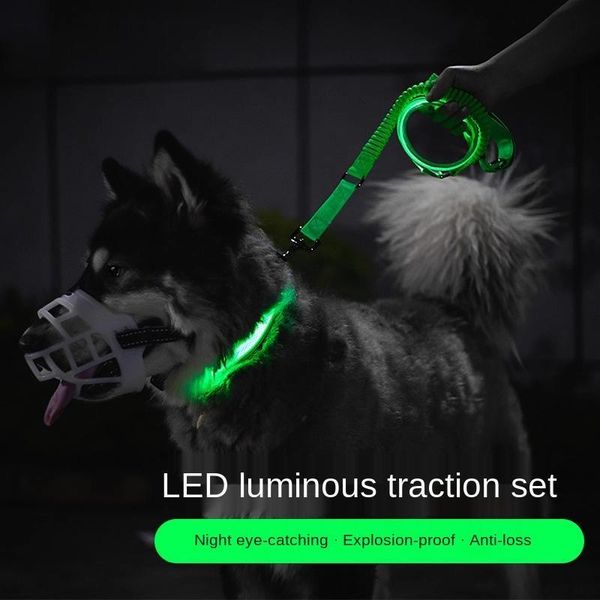 dog belt pet collar luminous traction rope dog walking suit cat traction rope pet supplies
dog belt pet collar luminous traction rope dog walking suit cat traction rope pet supplies