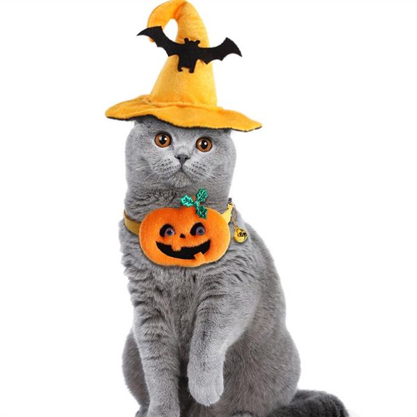 cat costumes pet costume suit for halloween set collar dog bat hat cats pumpkin accessories
cat costumes pet costume suit for halloween set collar dog bat hat cats pumpkin accessories