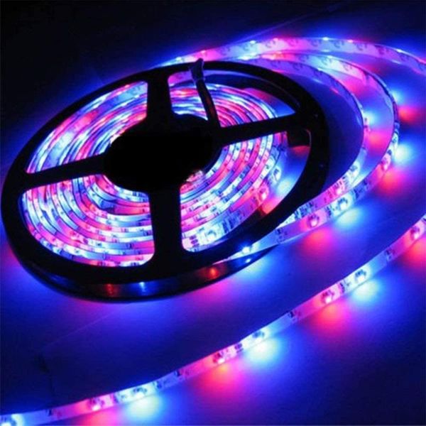 strips 5m/10m led strip lights flexible rgb remote control color waterproof 12v power supply light for bar home decoration 
strips 5m/10m led strip lights flexible rgb remote control color waterproof 12v power supply light for bar home decoration