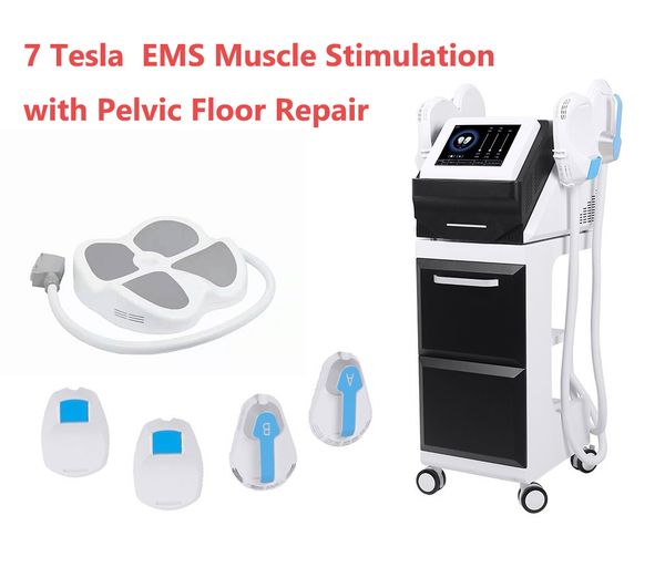 salon use ems muscle stimulator pelvic floor muscle repair butt lift buttocks body slimming spa machine
salon use ems muscle stimulator pelvic floor muscle repair butt lift buttocks body slimming spa machine