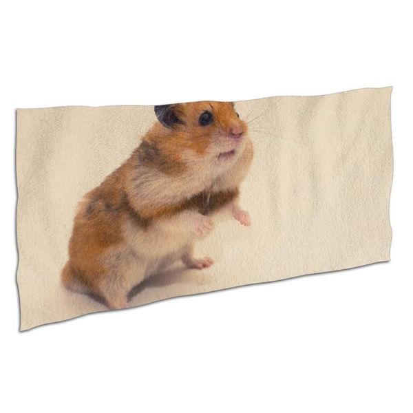 towel hamster printed spa bathrobe washing clothes quick drying microfiber bath sports gift yoga
towel hamster printed spa bathrobe washing clothes quick drying microfiber bath sports gift yoga