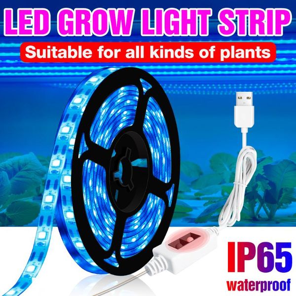 grow lights usb led strip lamp full spectrum indoor lighting light phytolamp for plants bulb seed lampara 0.5 1 2 3m
grow lights usb led strip lamp full spectrum indoor lighting light phytolamp for plants bulb seed lampara 0.5 1 2 3m