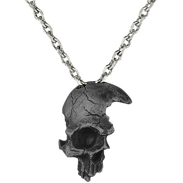 pendant necklaces spring and summer style necklace halloween men's women's broken chain half-faced skull collar, Silver
pendant necklaces spring and summer style necklace halloween men's women's broken chain half-faced skull collar, Silver