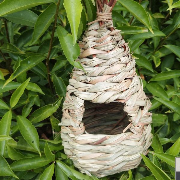 new birds nest natural grass egg cage natural pet bird bed bird nest canary cage egg container breeding
new birds nest natural grass egg cage natural pet bird bed bird nest canary cage egg container breeding
