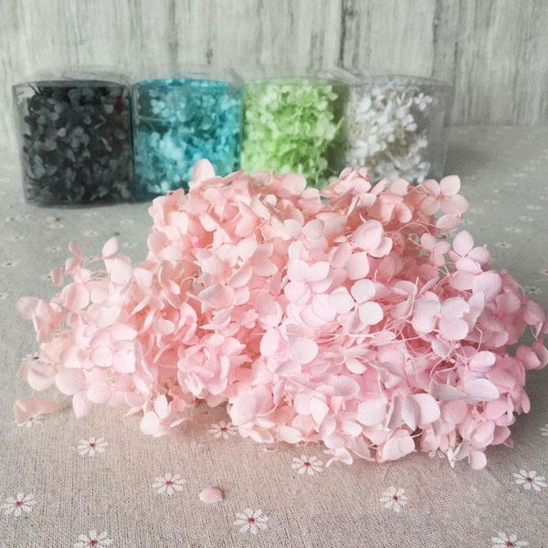 10g dried flowers preserved big size leaves preserved hydrangea decor office decor real flowers
10g dried flowers preserved big size leaves preserved hydrangea decor office decor real flowers