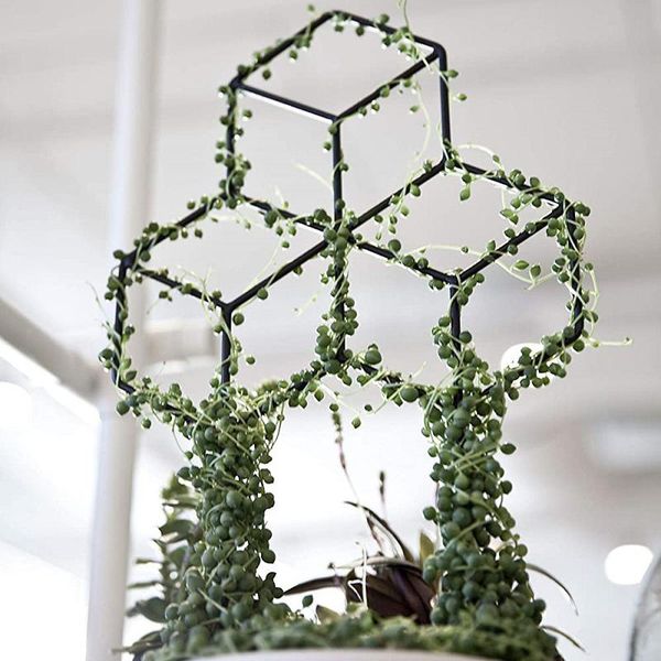 fencing, trellis & gates artificial mini climbing plant support iron frame with garden tool ne
fencing, trellis & gates artificial mini climbing plant support iron frame with garden tool ne