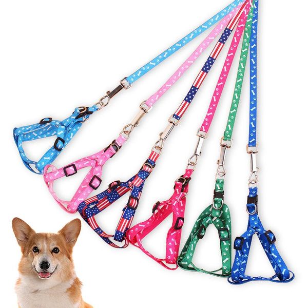 dog collars & leashes pet harness adjustable puppy collar for small dogs cat medium accessories outdoor walk
dog collars & leashes pet harness adjustable puppy collar for small dogs cat medium accessories outdoor walk