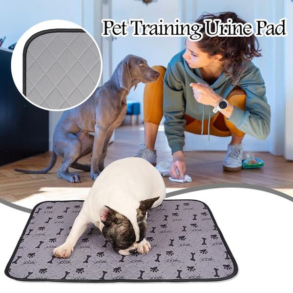 kennels & pens @pet diapers pad training dog can be washed and reused pets toilet not wet large medium small cats supplies accessorie
kennels & pens @pet diapers pad training dog can be washed and reused pets toilet not wet large medium small cats supplies accessorie