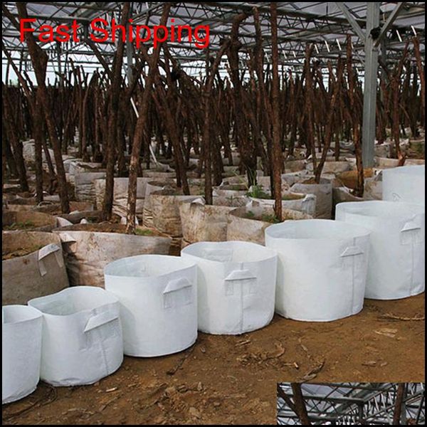 grow bags non woven tree fabric pots grow bag with handle root container plants pouch seedling flowerpot garden nonwoven bags gga2108 ijdec
grow bags non woven tree fabric pots grow bag with handle root container plants pouch seedling flowerpot garden nonwoven bags gga2108 ijdec