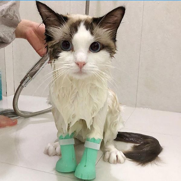 cat costumes 4pcs antiscratch shoes boots pet nail cover protector scratch gloves grooming booties bath foot
cat costumes 4pcs antiscratch shoes boots pet nail cover protector scratch gloves grooming booties bath foot