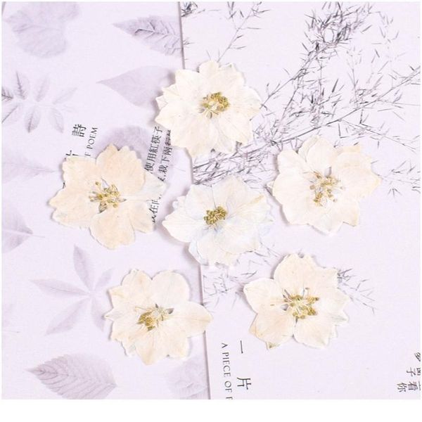 consolida ajacis small real dried flower dry plants for candle epoxy resin pendant necklace jewelry making craft diy a jlljey
consolida ajacis small real dried flower dry plants for candle epoxy resin pendant necklace jewelry making craft diy a jlljey