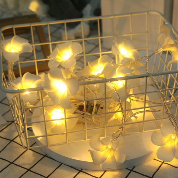party decoration led string lights 3meter 20 flowers pendant wedding event garden lamps blossom fairy light 1.5meters 10led
party decoration led string lights 3meter 20 flowers pendant wedding event garden lamps blossom fairy light 1.5meters 10led