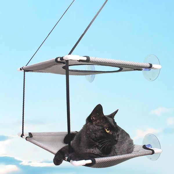 cat beds & furniture house hammock suction cup double suspension hanging nest bed pet
cat beds & furniture house hammock suction cup double suspension hanging nest bed pet