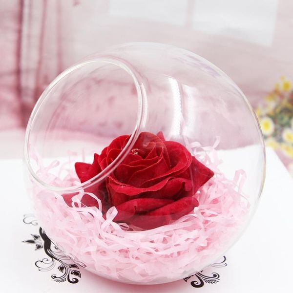 novelty items 8pcs/pack diameter=20cm super big size side open glass terrarium vase home decoration creative aquarium fishbowl friend gift
novelty items 8pcs/pack diameter=20cm super big size side open glass terrarium vase home decoration creative aquarium fishbowl friend gift