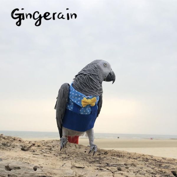 other bird supplies gingerain clothes parrot time original hand-made custom hooded sweater
other bird supplies gingerain clothes parrot time original hand-made custom hooded sweater