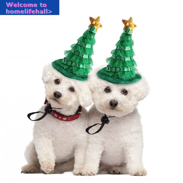 supplies clothes clothing hooded products cat halloween hat green christmas tree dog funny headdress
supplies clothes clothing hooded products cat halloween hat green christmas tree dog funny headdress