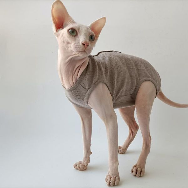 cat costumes sphinx devon rex hairless clothes spring summer pure cotton four-legged jumpsuit pet clothing belly band baby fabric vest
cat costumes sphinx devon rex hairless clothes spring summer pure cotton four-legged jumpsuit pet clothing belly band baby fabric vest