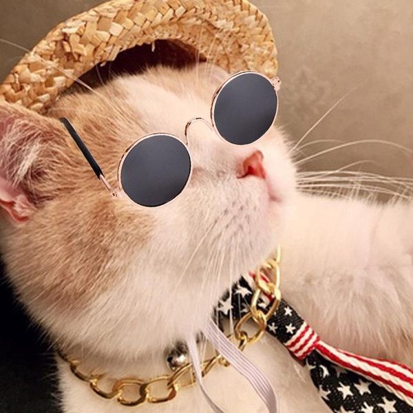 cat costumes pet glasses set protection puppy dog necklace straw hat tie products for dogs kitty cats eye-wear sunglasses
cat costumes pet glasses set protection puppy dog necklace straw hat tie products for dogs kitty cats eye-wear sunglasses